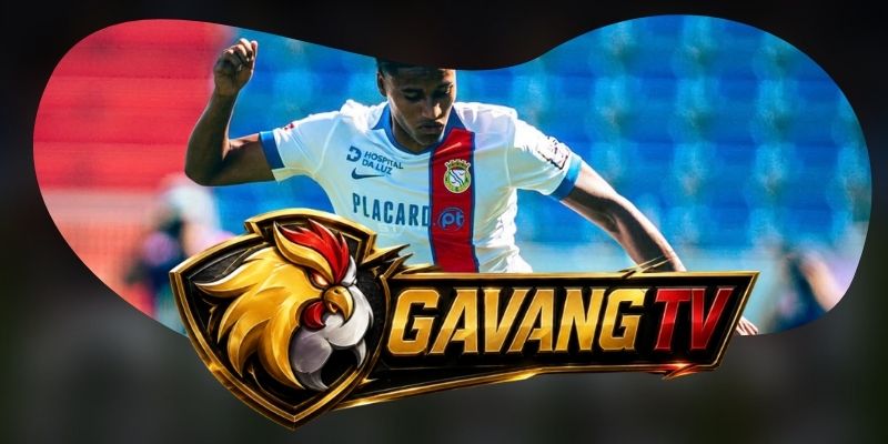 Tổng hợp dự đoán kèo trận FC Famalicao vs Alverca ngày 13/10